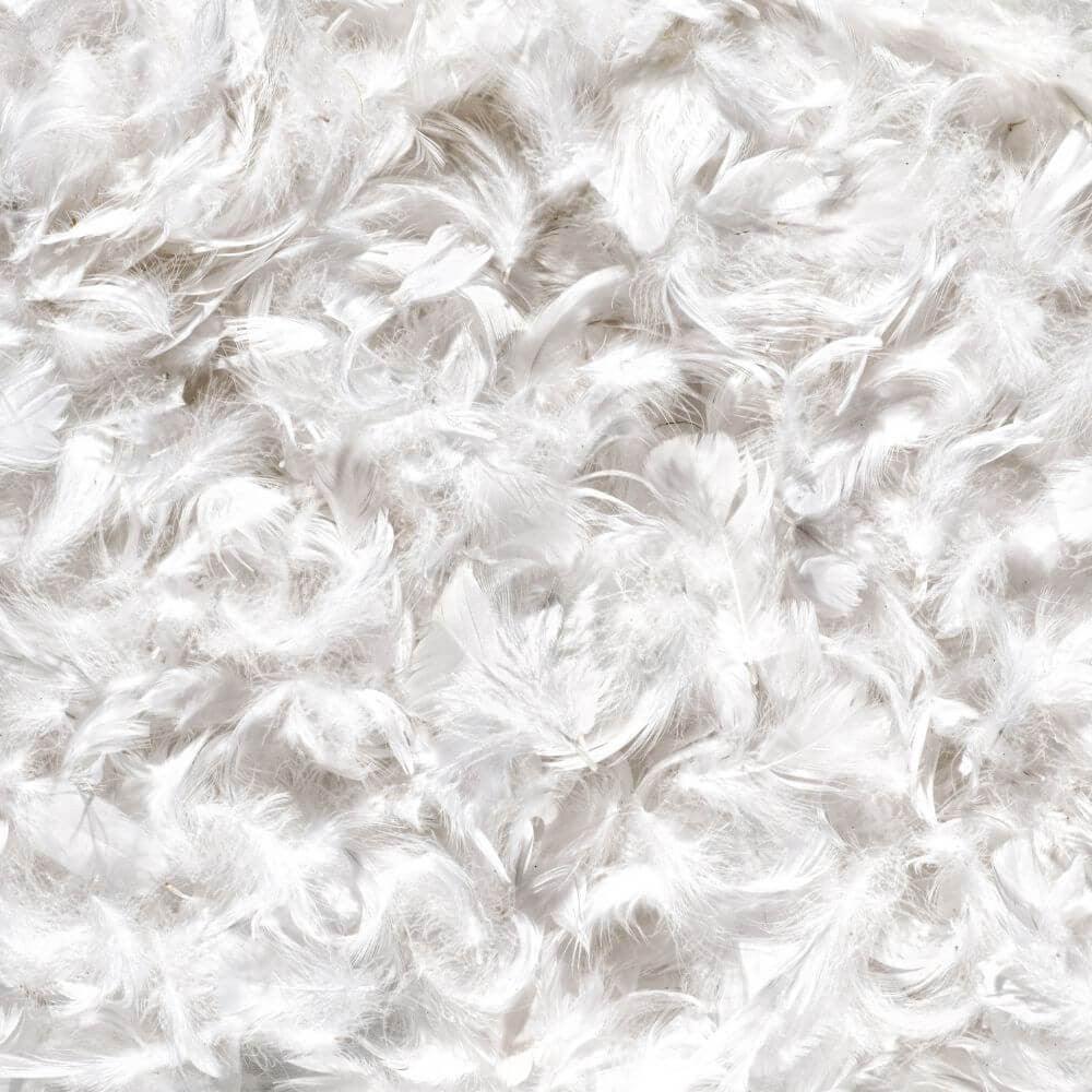 Couette duvet de canard Hiver Islande bio - Label Naturel